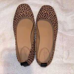 nice clean dress up shoes